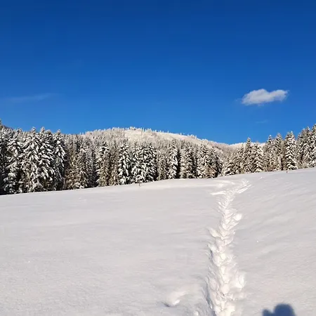 W Gorach Blask Beskidu- Sauna, Jacuzzi, Balia W Cenie