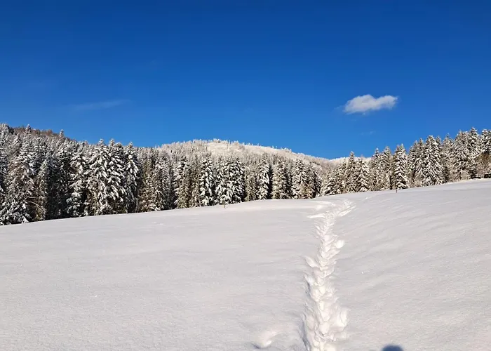 W Gorach Blask Beskidu- Sauna, Jacuzzi, Balia W Cenie